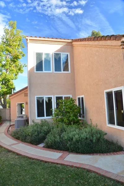 DSC_7371 (Large).JPG